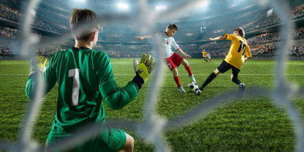 牌的建设 牌的建设